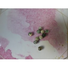 Ronde 8 - Agate d'arbre (10pces)