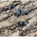 Ronde 8 - Agate naturelle efflorescente noire (10 pces)