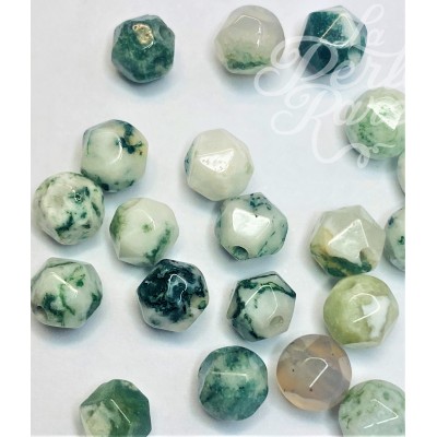 Perles d'agate d'arbre naturel, taillées à facettes - (10 pces)