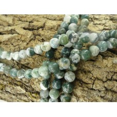 Ronde 10 -  Agate d'arbre naturelle (5 pces)