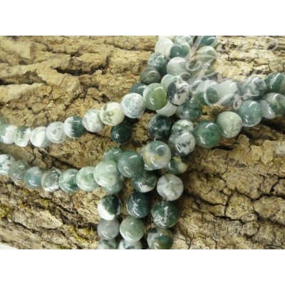 Ronde 10 -  Agate d'arbre naturelle (5 pces)