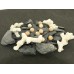 Ronde 10 - Bénitier coquillage (5 pces)