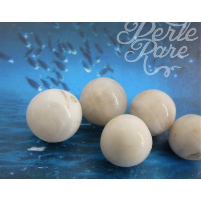 Ronde 12 - Agate naturelle beige (5 pces)