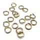 Ring 16G / 1 cm - Champagne (20 pces)