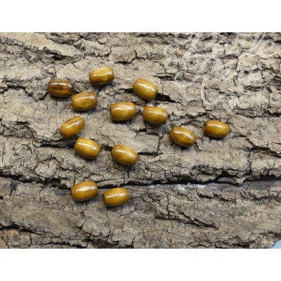 Perle de bois ovale teintée - (20 pces)