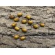 Perle de bois ovale teintée - (20 pces)